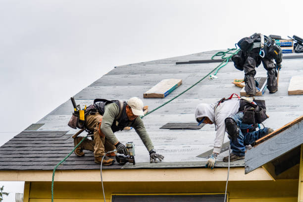 Professional Storm Damage Roof Repair technician working in East Bloomfield, NY